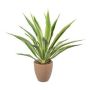 Kunst Agave furcraea gigantea SININ im Terracottatopf, grün-creme, 85cm