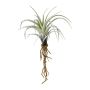 Künstliche Sukkulente Tillandsia stricta SNELDON mit Wurzeln, grün, 22cm