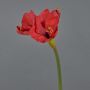Dekoblume Amaryllis BELAV, rot, 70cm, Ø5-13cm