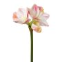 Dekoblume Amaryllis BELAV, rosa-weiß, 70cm, Ø5-13cm