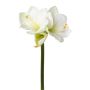 Dekoblume Amaryllis BELAV, weiß-grün, 70cm, Ø5-13cm