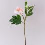 Pfingstrose künstlich FYRFAR, offen, hellrosa, 60cm