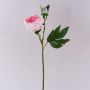 Pfingstrose künstlich FYRFAR, halboffen, rosa, 60cm
