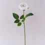 Künstliche Kohl-Rose MARNUK, creme-weiß, 60cm, Ø9cm