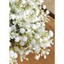 Künstlicher Blumenkranz Schleierkraut CECILIA, creme-weiß, Ø35cm