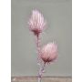 Kunstzweig Edeldistel aus Kunststoffschaum FERDIHAN, hellrosa, 100cm