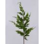 Deko Zweig Thuja STERNYN, grün, 85cm