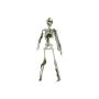 Halloween Deko Figur mini Skelett WENDELIN mit Moos bedeckt, 40cm