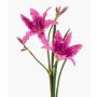 Kunst Blume Taglilie ZAXIL mit Blüten, violett, 75cm