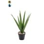 Künstliche Yucca Palme BAKVER, Dekotopf, crossdoor, 50cm