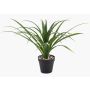 Künstliche Palme Yucca rostrata POLLYANNA, Dekotopf, crossdoor, 35cm