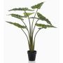 Kunstpflanze Alocasia Sanderiana MUNAY im Dekotopf, grün, 100cm
