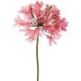 Künstliche Agapanthus Blume KAFENA, hellrosa, 90cm, Ø20cm