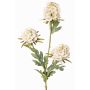 Künstlicher Zweig Bartnelke STERMYN, creme, 75cm, Ø6,5-8,5cm
