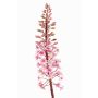 Künstliche Blume Schopflilie ZERFIM, rosa-grün, 90cm