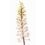 Künstliche Blume Schopflilie ZERFIM, weiß-grün, 90cm