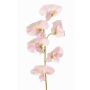 Blume künstlich Lathyrus WAHNY, hellrosa-grün-weiß, 45cm, Ø5,5cm