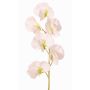 Blume künstlich Lathyrus WAHNY, weiß-grün, 45cm, Ø5,5cm