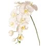 Dekozweig Phalaenopsis Orchidee WESA, weiß, 90cm, Ø11-12,5cm