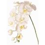 Dekozweig Phalaenopsis Orchidee WESA, weiß, 90cm, Ø11-12,5cm