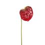 Kunstblume Anthurium SAMBANA, rot-grün, 65cm