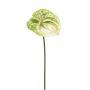 Kunstblume Anthurium SAMBANA, grün-creme, 65cm