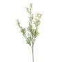 Künstlicher Asparagus sprengeri Zweig SAMBENO, grün, 80cm