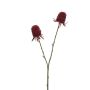 Kunstzweig Ringdistel AVELINE mit Glitzer, rot, 65cm