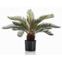 Künstliche Cycas Palme klein NEREO, 55cm