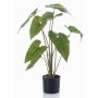 Kunstpflanze Alocasia Zebrina LEFKA mit Wurzeln, grün, 75cm