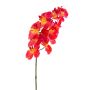 Plastik Phalaenopsis Orchideen Zweig STINA, rot, 65cm, Ø6,5cm
