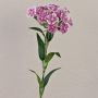 Unechte Blume Bartnelke SUSILAWA, violett-weiß, 55cm