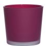 Pflanztopf aus Glas ALENA FROST, magenta matt, 11cm, Ø11,5cm