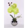 Kunstblume Orchidee Phalaenopsis NAPIRAI, Übertopf, creme-grün, 30cm