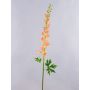 Unechte Blume Rittersporn RADUNIA, aprikose, 110cm, Ø2,5-7cm
