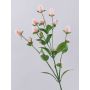 Deko Blumenzweig Kugelamarant THUSNELDA, rosa-weiß, 70cm, Ø1,5-2,5cm