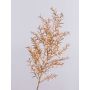 Deko Asparagus sprengeri Zweig DENDER, gold, 75cm