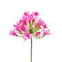 Deko Kunstblume Agapanthus PHILINA, pink, 75cm, Ø14cm