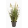 Fuchsschwansgras künstlich CHAYENNE, Rispen, Dekotopf, grün-braun, 45cm