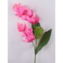 Kunstblumenzweig Medinilla LASENTER, rosa, 110cm