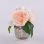 Künstlicher Blumenstrauß Pfingstrose VEIKO in Glasvase, aprikose-creme, 15cm