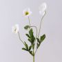 Künstliche Mohnblume Zweig OXANDRINE, creme-weiß, 60cm, Ø6cm