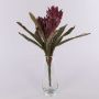 Samt Guzmania Bromelie künstlich WALFRIEDE auf Steckstab, burgunderrot, 50cm