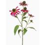 Dekozweig Sonnenhut MILROV, pink, 75cm