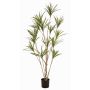 Kunstbaum Dracaena marginata SHALLU, Kunststämme, grün, 180cm
