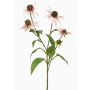 Dekozweig Sonnenhut MILROV, hellrosa, 75cm
