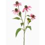 Dekozweig Sonnenhut MILROV, rosa, 75cm