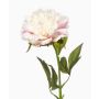 Pfingstrose künstlich GAVRON, weiß-rosa, 55cm