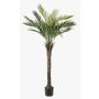 Künstliche Palme Dattelpalme ZOLTER, crossdoor, 150cm