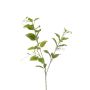 Deko Zweig Clematis VLORIX, grün-creme, 105cm